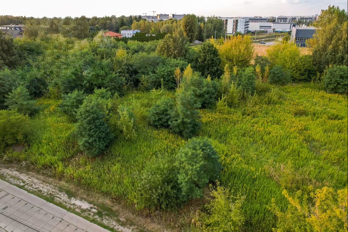 Aerial view of the land